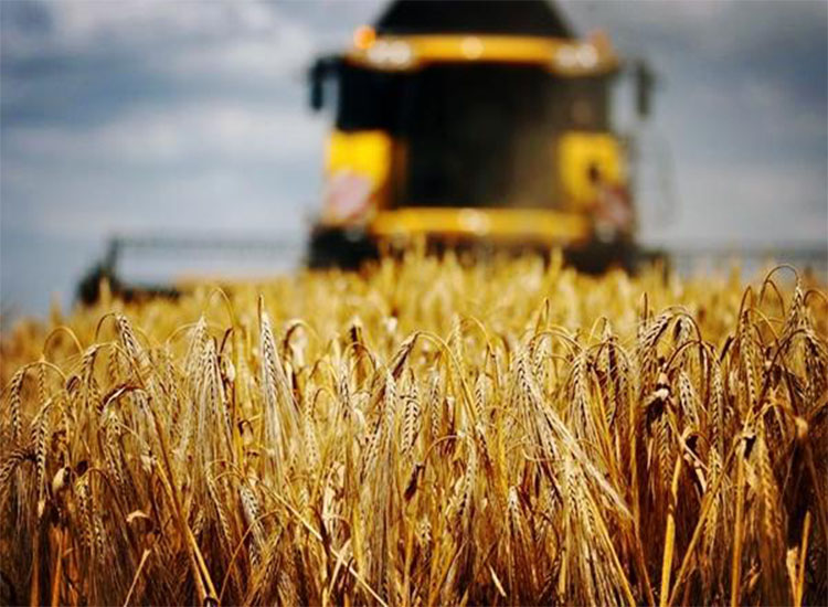 澳大麥豐收，銷路卻成了問題，印度有意接盤卻引來(lái)農(nóng)民不滿【潤(rùn)康】磨煤機(jī)磨輥對(duì)此看法?