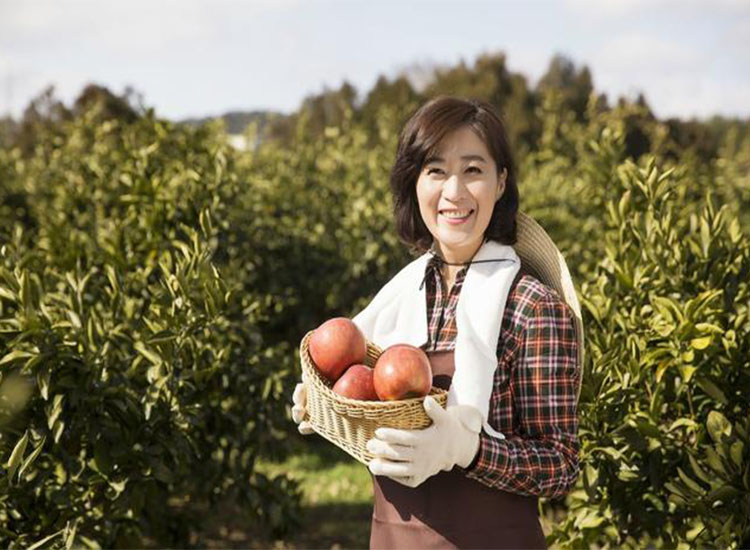 【潤(rùn)康】磨煤機(jī)磨輥與您分享：互聯(lián)網(wǎng)巨頭紛紛賣菜，農(nóng)民會(huì)不會(huì)被“割韭菜”？