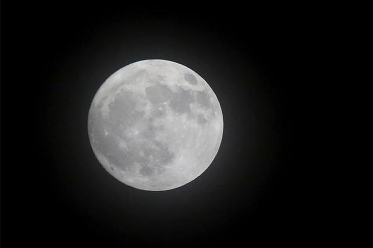 磨煤機磨輥 磨煤機磨輥